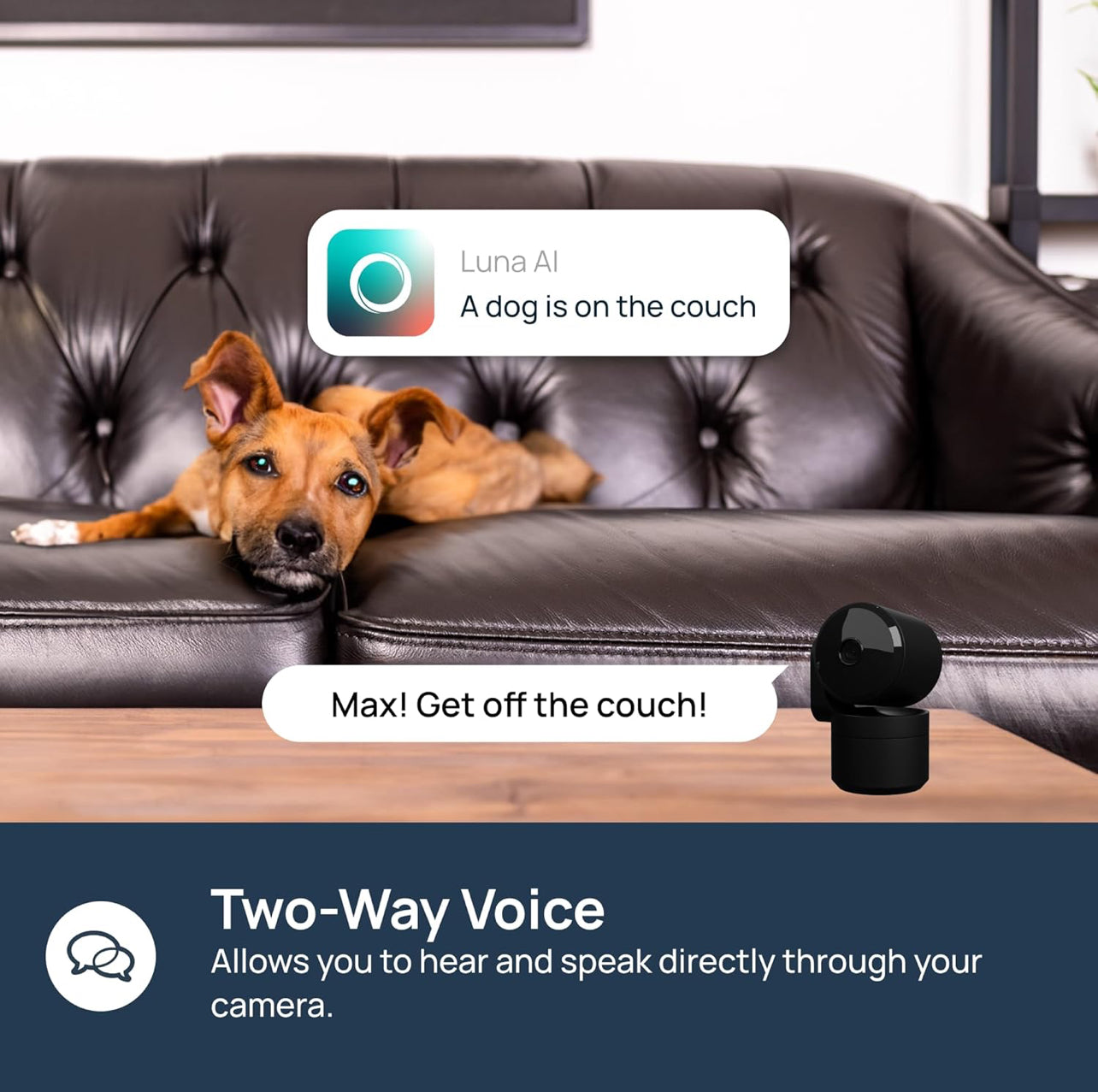 Cámara de seguridad para el hogar con panorámica/inclinación para interiores, enchufe de 360°, visión nocturna, Wi-Fi