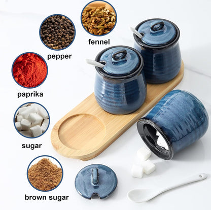 Hasense Tarro de condimentos de porcelana, contenedor de especias de 10 onzas con cuchara de tapa y bandeja de bambú
